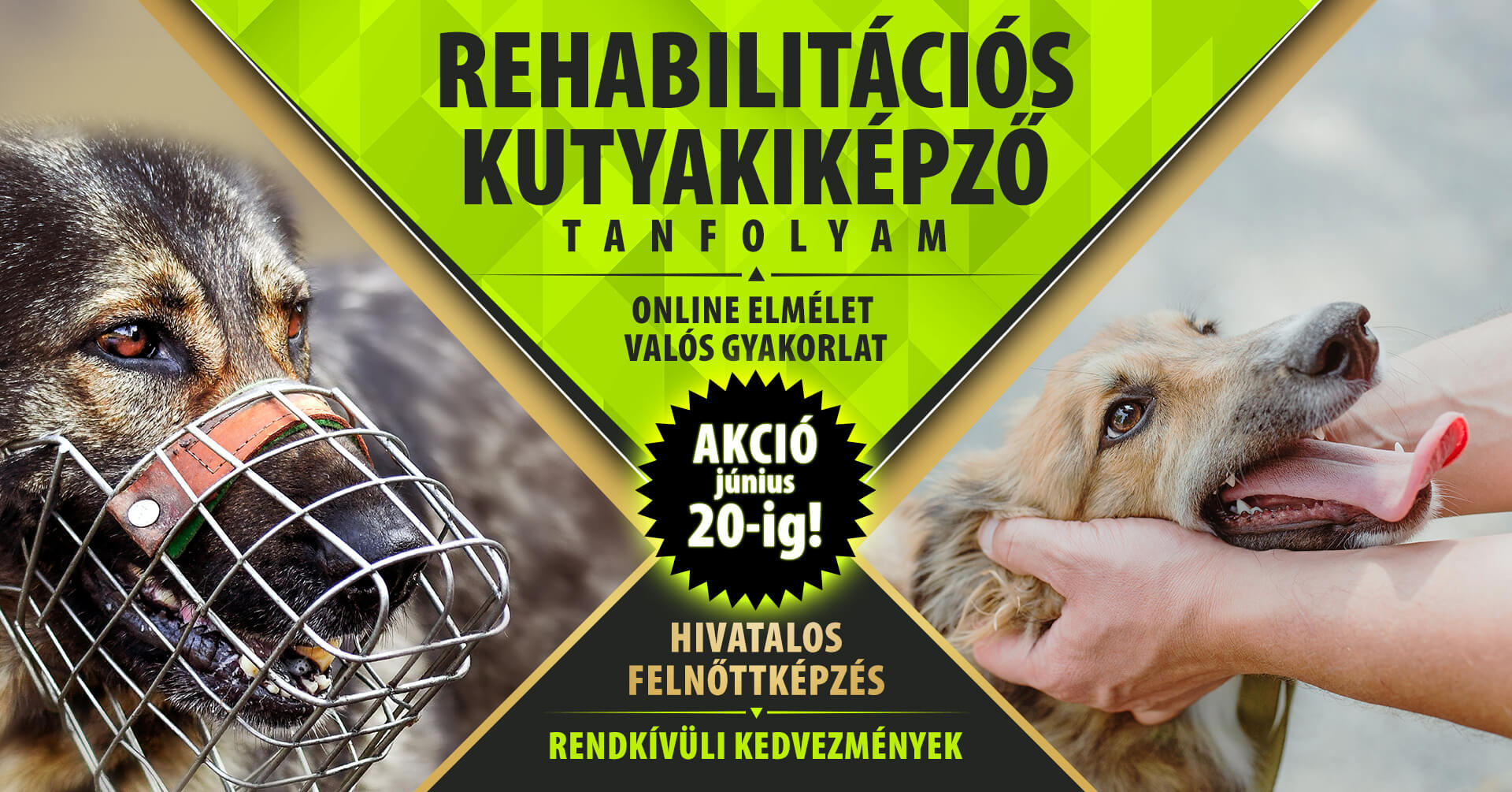 Rehab kutyakikepzo 20240914 k
